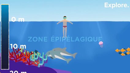 L'océan est bien plus profond que ce que vous imaginez.