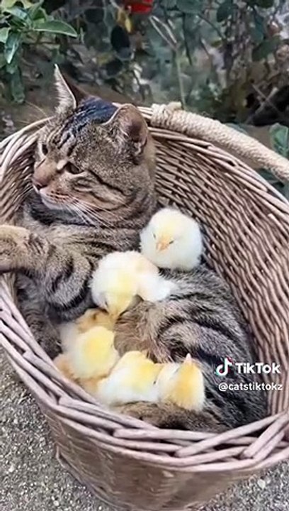so funny video  part 1