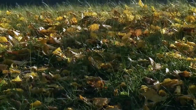 Le futur des nanotechnologies : Bienvenue dans le nano monde, du micro au nano