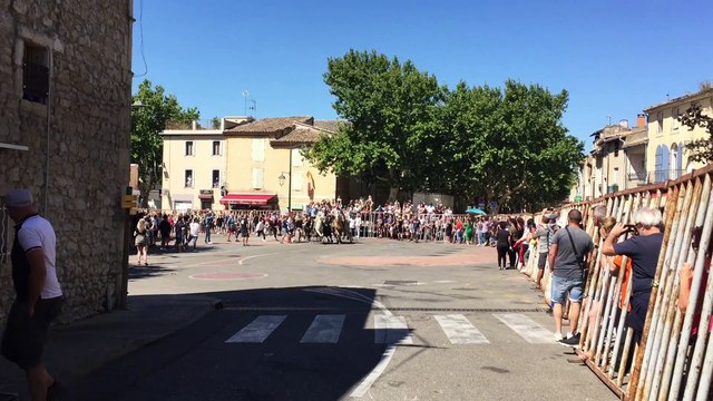 Montfrin : Abrivado de la manade Labourayre