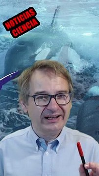 ¿QUÉ PASA CON LAS ORCAS QUE LLEVAN HUNDIDOS 3 BARCOS?