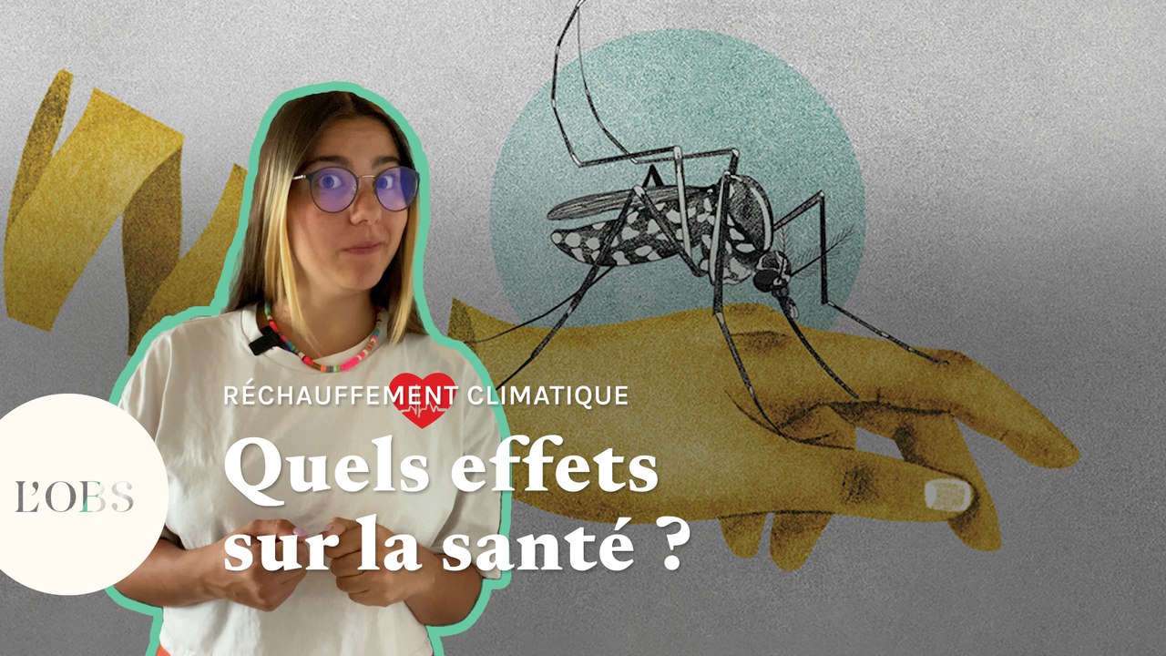 Maladies, agressivité : comment le réchauffement climatique affecte le corps humain