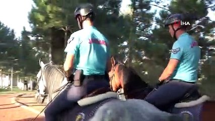 Piknik alanları 'Atlı Jandarma Timlerine' emanet