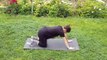 Garden Yoga, Yoga for neck, shoulders and upper back