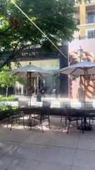 Grupo faz 'arrastão' em loja de grife nos EUA