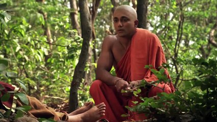 Serie Buda Capítulo 48