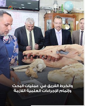 اكتشاف مذهل في الفيوم.. كائن عاش قبل 41 مليون سنة