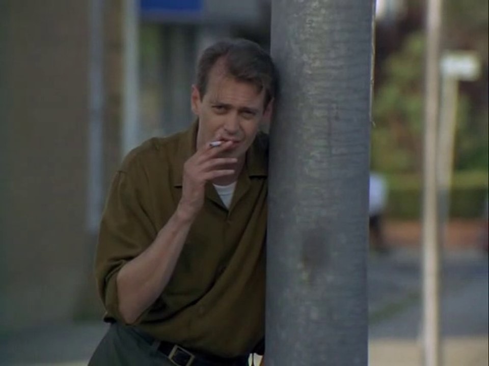 Trees Lounge (1996) Steve Buscemi • Samuel L. Jackson • Chloe Sevigny