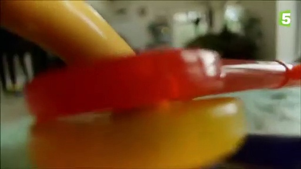 Ce chiot ouvre les yeux pour la 1ère fois - ZAPPING SAUVAGE