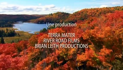 Magnifiques animaux du Canada - ZAPPING SAUVAGE