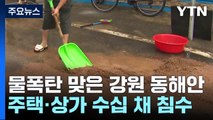 400mm 물폭탄 맞은 강원 동해안 곳곳 침수...복구 시작 / YTN