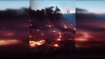 Siirt’te orman yangını: Birçok ilden destek istendi