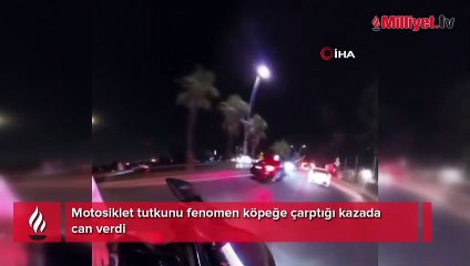 Köpeğe çarptığı kazada can verdi! Motosiklet tutkunu fenomen...