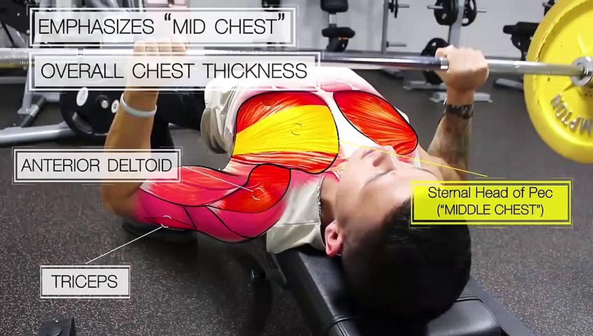 Chest Workout Home Version - video Dailymotion