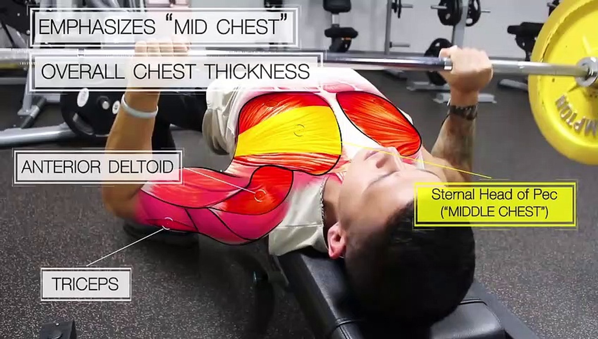 The Best Science-Based Chest Workout for Mass & Symmetry