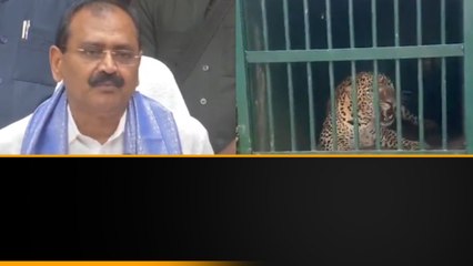 Tirumala లో చిరుతల సంచారం.. TTD Chairman దయచేసి ఇలా చేయండి..  | Tirupathi | Telugu OneIndia