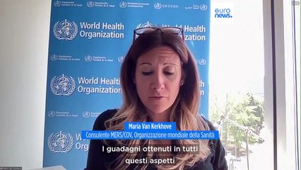 Covid-19, l'Oms allerta i Paesi sulla nuova "variante di interesse": "Non smantellate sorveglianza"