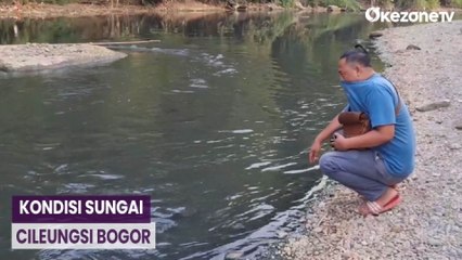 Diduga Tercemar Limbah, Sungai Cileungsi Bogor Berubah Jadi Hitam dan Bau