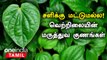 வெற்றிலை மருத்துவ குணங்கள் | சளிக்கு மட்டுமல்ல! |  Vetrilai Health Benefits in Tamil