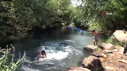 Hatay'da sıcaklık rekoru kırıldı... Termometreler 50 dereceyi gösterdi