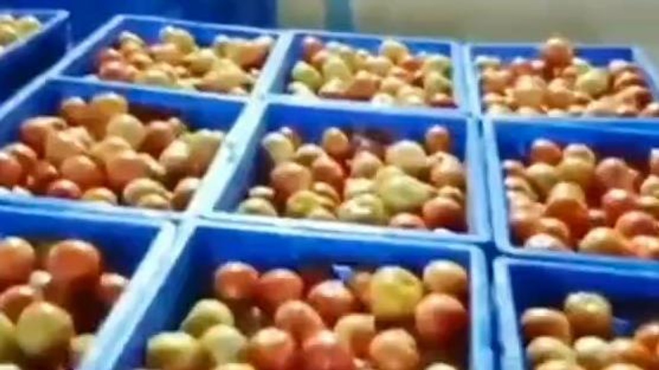 అనంతపురం జిల్లా: మళ్లీ పెరిగిన టమాట ధరలు