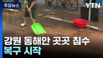 400mm 물폭탄 맞은 강원 동해안 곳곳 침수...복구 시작 / YTN