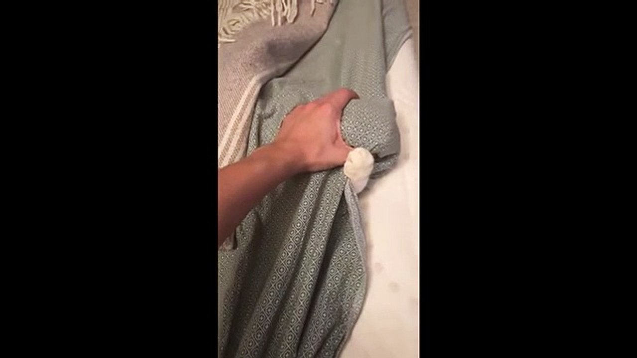 Lazy kitty makes it clear she's not ready to wake up