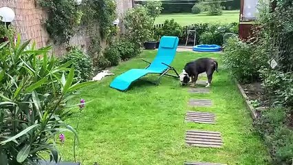 You'll never be as relaxed as this cat right here