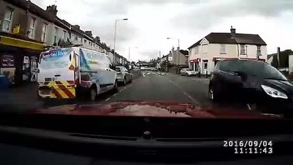 Safety minded cat uses pedestrian crossing on busy road