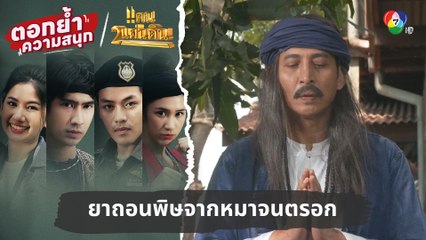 ยาถอนพิษจากหมาจนตรอก | ตอกย้ำความสนุก แคน2แผ่นดิน EP.13