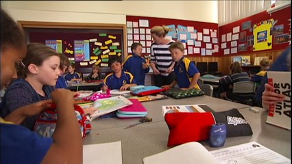 Senate report calls for urgent action on school refusal