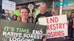 End native forest logging rally in Bega, 10-8-23, Bega District News