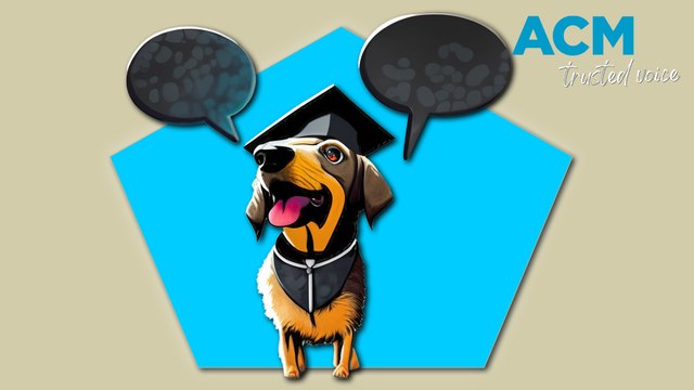 'Google translate for animals': Scientists unlock secrets to zoological language