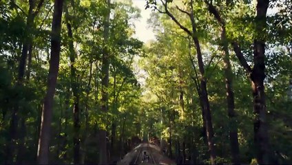 Backstreet Dogs Bande-annonce (DE)