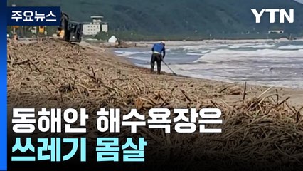 불난리에 이어 물난리...동해안 해수욕장은 쓰레기 몸살 / YTN