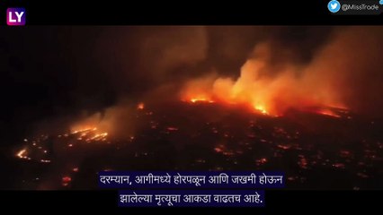 Hawaii Wildfire: हवाई जंगलाला लागलेली आग आटोक्यात आणण्यासाठी अग्निशमन दलाचे प्रयत्न सुरुच, मृतांची संख्या 53 वर