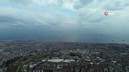 Leyleklerin İstanbul semalarında göç yolculuğu böyle görüntülendi