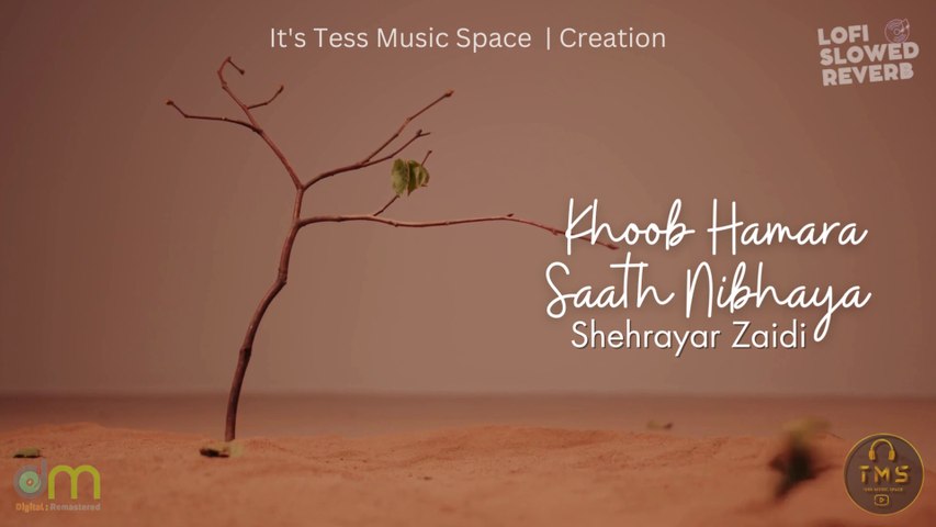 Khoob Hamara Saath Nibhaya - Shehrayar Zaidi (Lofi - Reverb)
