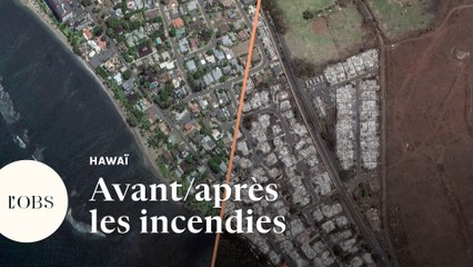 Hawaï : les images satellite avant/après des incendies