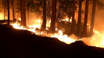 Maui wildfires: As death roll rises, find out how one family survived the lethal flames