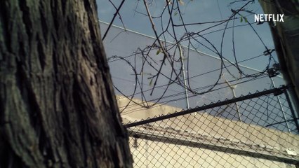 Clip de 'Las cintas de Rosa Peral'