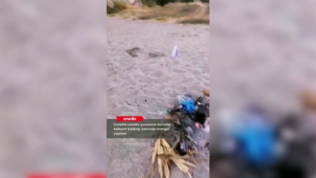 Antalya kimliği belirsiz kişiler, caretta caretta yuvasının kafesini kaydırıp yuva üzerinde mangal yaptı