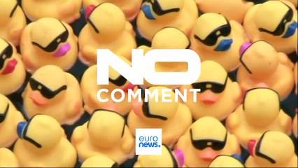 Tens of thousands of rubber ducks race along Chicago River