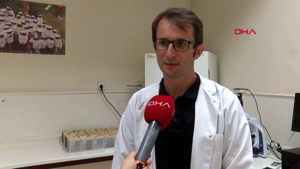 İklim Değişikliği Nedeniyle Toplu Arı Ölümleri Artıyor