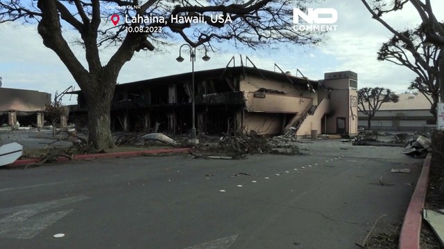 WATCH: Catastrophic wildfires lay waste to historic Maui town of Lahaina