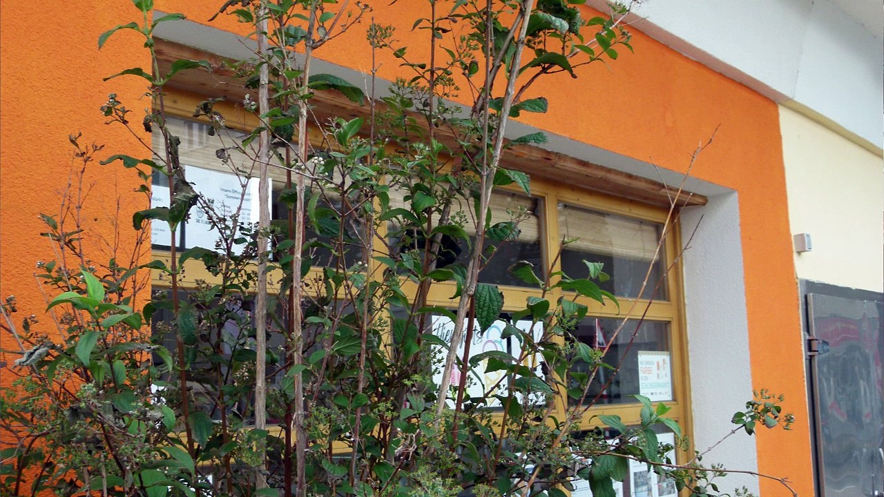 Eiszeit am Schlingermarkt und 'Zwei Lauser'