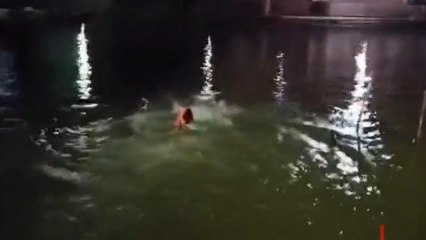 Live Video: शिप्रा नदी में अचानक डूबने लगा युवक और फिर जो हुआ..