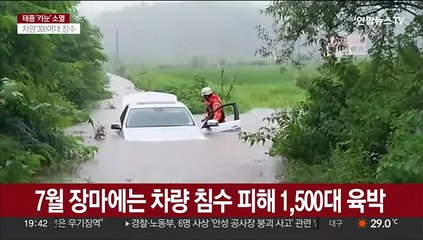 태풍에 차량 500대 피해…"과실 없으면 할증 없어"