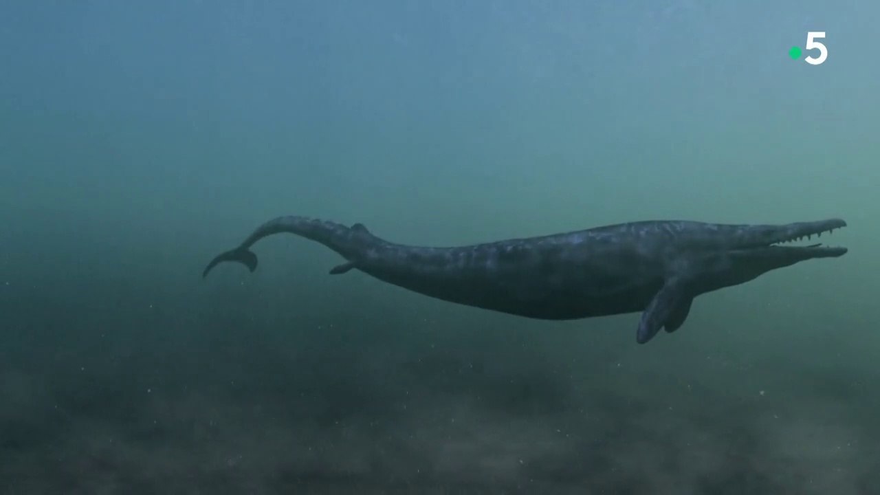 Basilosaurus, la baleine carnivore