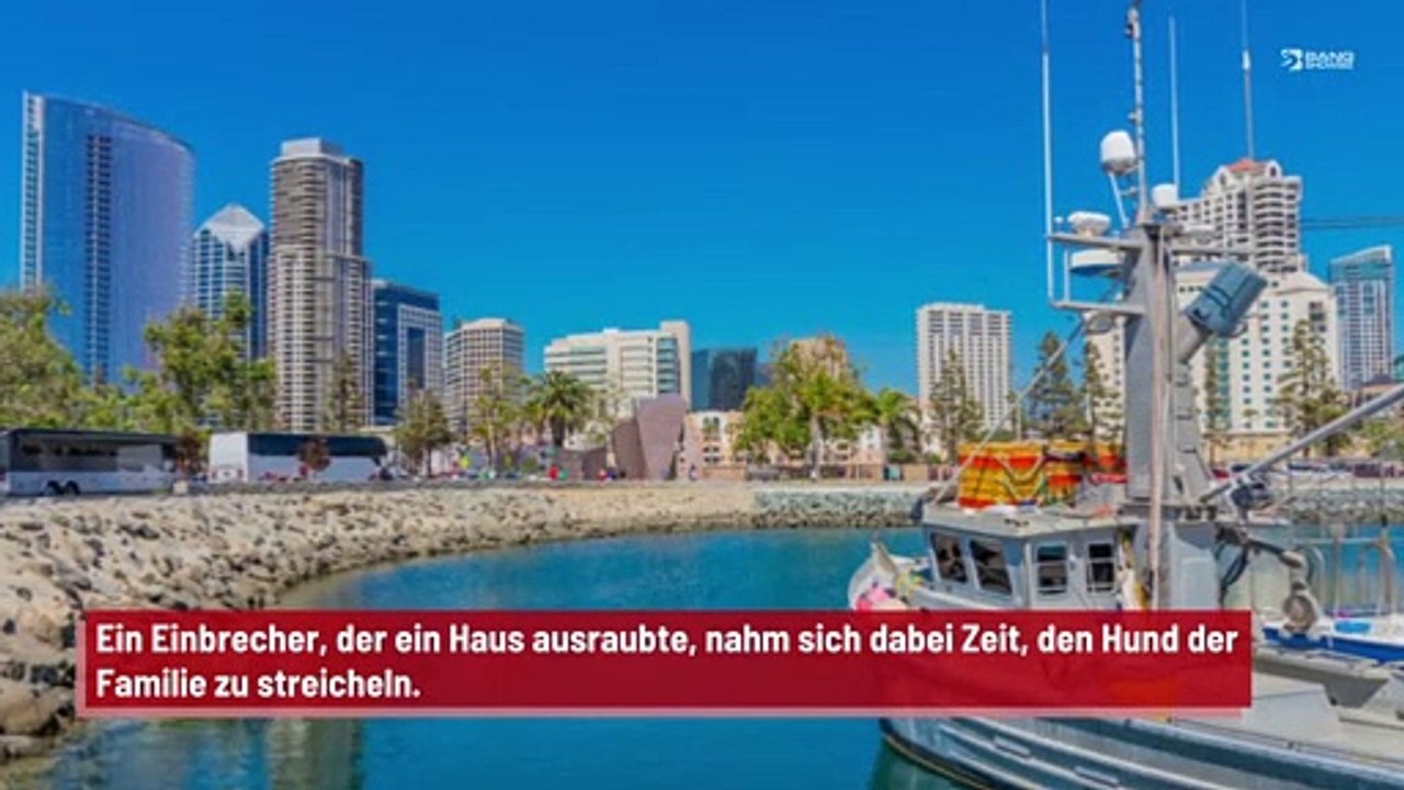 Dieb nutzt bei einem Einbruch die Gelegenheit, den Hund der Familie zu streicheln